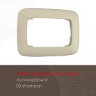 Рамка из поликарбоната для двойной розетки Arte Milano 505.05-double.shampan am