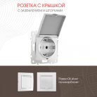Розетка Arte Milano 206.41-1.silver am