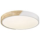 Потолочный светильник Velante 445-027-01