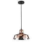 Подвесной светильник Arte Lamp  A4297SP-1AC RIFLESSO