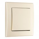 Выключатель одноклавишный с рамкой шампань пластик SET06-1-30-1 shampan Arte Milano SET06-1-30-1 shampan