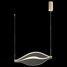 Подвесной светодиодный светильник Wertmark WE450.01.303 Hetti