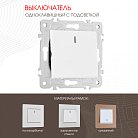 Выключатель одноклавишный с подсветкой, 10AX 250V Arte Milano 203.31-1.white am-203