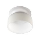 Потолочный светильник Loft IT 10466 Milky white Totem