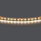 Лента белого свечения 24V Lightstar 420804