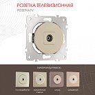 Розетка TV Arte Milano 202.43-1.shampan am