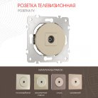 Розетка TV Arte Milano 202.43-1.shampan am