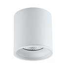 Светильник потолочный ST Luce ST165.532.12 Накладные Светильники