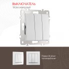 Выключатель трёхклавишный, 10AX 250V Arte Milano 206.30-3.silver am