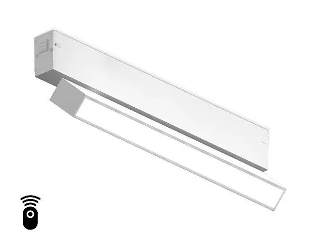 Трековый светильник Ambrella light GL1331