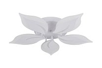 Накладной светильник Natali Kovaltseva LED LAMPS 81160 LIGHT