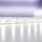 Светодиодная лента Maytoni 10173 24В