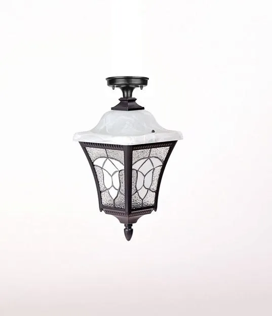 Потолочный светильник уличный Oasis Light 91805LA Bl VENECIA 2L