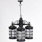 Уличный светильник подвесной Oasis Light 81270/3 Bl