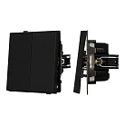 Механизм выключателя двухклавишный непроходной SWT-TENDO-MK02-SFPL-BK (230V, 10A) Arlight 054544