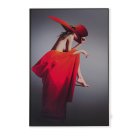 Декоративная картина Lumina Deco FP Red Hat 80-120