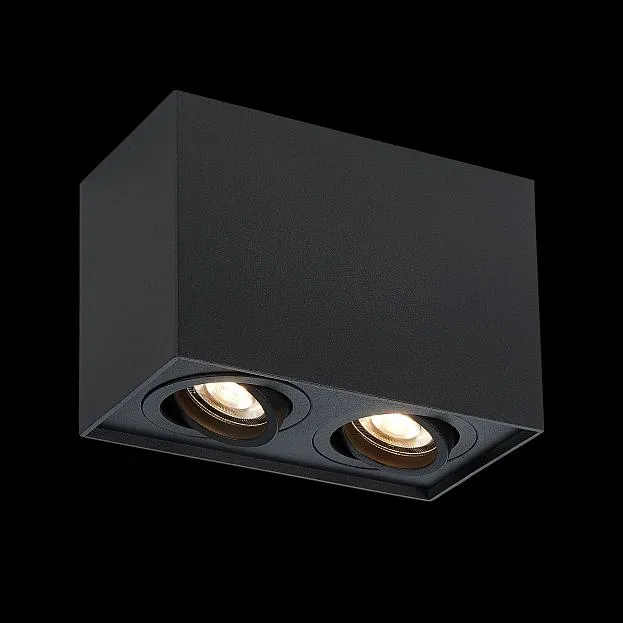 Потолочный светильник ST Luce ST109.407.02 Потолочный светильник ST Luce ST109.407.02