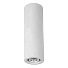 Потолочный светильник Arte Lamp A9267PL-1WH TUBO