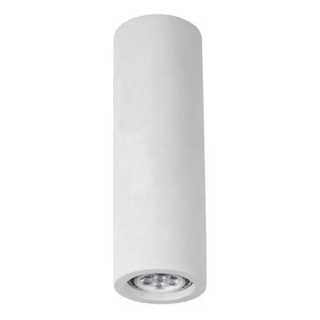 Потолочный светильник Arte Lamp A9267PL-1WH TUBO Потолочный светильник Arte Lamp A9267PL-1WH TUBO