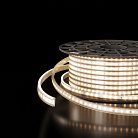 Светодиодная лента Elektrostandard LS011 220V a041110