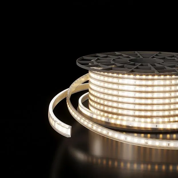 Светодиодная лента Elektrostandard LS011 220V a041110