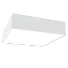 Потолочный светильник Maytoni C067CL-L27W3K Zon