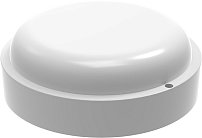 Настенно-потолочный светильник Gauss 126418315 LITE