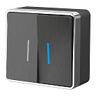 Выключатель двухклавишный с подсветкой Werkel W5020104 Gallant (графит рифленый) a051340