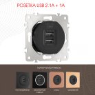 Розетка USB 2.1А+1А Arte Milano 202.46-1.black am
