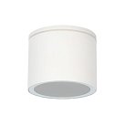 Уличный потолочный светильник Arte Lamp A1913PF-1WH PIAUTOS