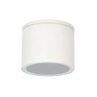 Уличный потолочный светильник Arte Lamp A1913PF-1WH PIAUTOS