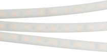 Светодиодная лента Arlight 016181(2) B60 PW