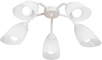 Потолочная люстра Vitaluce V31950/5PL