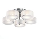 Потолочная люстра ST Luce SL483.502.05 FORESTA