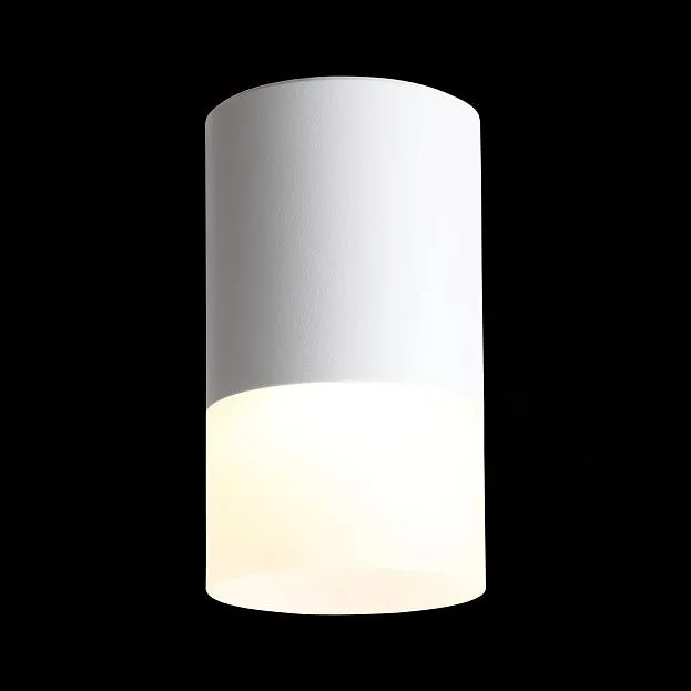 Светильник потолочный ST-Luce ST100.502.05