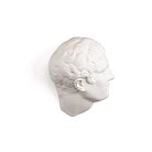 Статуэтка Memorabilia Mvsevm Discobolo Head Seletti 10079