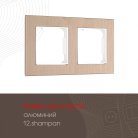 Рамка из алюминия на 2 поста Arte Milano 503.12-2.shampan am