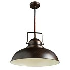 Подвесной светильник Arte Lamp A5213SP-1BR MARTIN