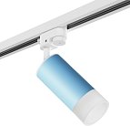 Трековый светильник Lightstar R1T43531 Rullo