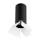 Потолочный светильник Lightstar R487436 Rullo