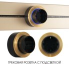 Трековая розетка, 16A 250V Arte Milano 397952TS/ES Gold Am