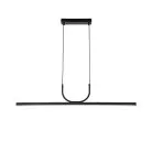 Подвесной светильник Favourite 4096-1P Raya