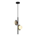 Светильник подвесной ST Luce SL1521.403.02 NOON