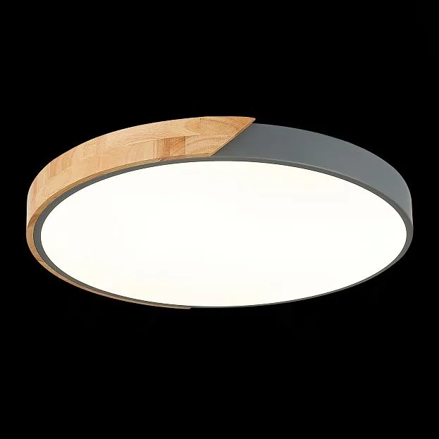 Светильник потолочный Evoluce SLE200972-01 FESTA