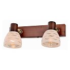 Спот Toplight TL3730Y-02BB Shayla