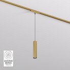 Светильник для трека Denkirs DK5744-SB SHINE SPOT