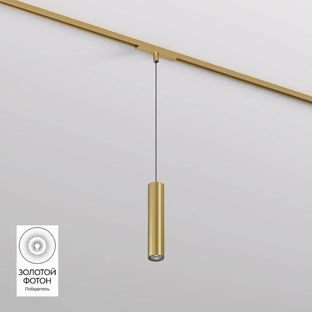 Светильник для трека Denkirs DK5744-SB SHINE SPOT