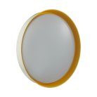 Настенно-потолочный светильник SONEX 7711/DL TUNA YELLOW