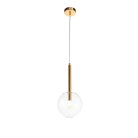 Светильник подвесной ST-Luce SL1054.203.01 SOFIO