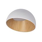 Потолочный светодиодный светильник Loft IT 10197/350 White Egg